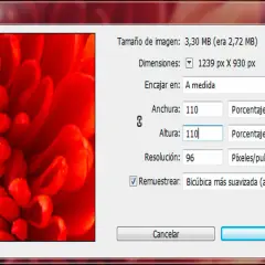 Ventana de Photoshop para ampliar imagen. Se muestra un primer plano de un pétalo rojo y las opciones para ajustar el tamaño, como la altura y anchura en porcentaje.