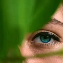 Plano detalle fotografía de un ojo azul brillante, parcialmente oculto por hojas verdes.