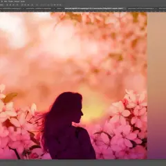 Silueta de mujer entre flores rosadas, con el modo de fusión "Superponer" seleccionado para fusionar capas en Photoshop.