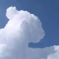 Una nube con forma de oso, un ejemplo de pareidolia en las nubes, flota en un cielo azul claro.