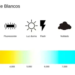 Iconos de modos de balance de blancos: bombilla, fluorescente, sol, flash, nube, casa en sombra. Barra de color de temperatura de luz.