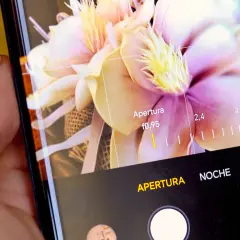 Un móvil captura unas flores con apertura f0,95. Las fotos del móvil muestran el detalle de los pétalos.