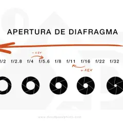 Ilustración sobre la apertura del diafragma de una cámara, mostrando cómo cambia la abertura y la profundidad de campo con diferentes números f.