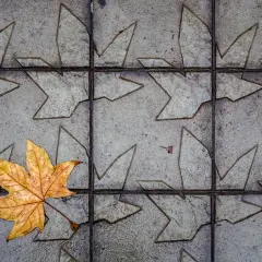 Hoja dorada sobre baldosas grises con un diseño que evoca un acento otoñal.