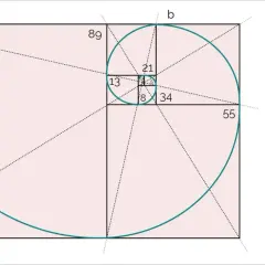 La espiral de Fibonacci, que ilustra la medida áurea, se forma con rectángulos y números de la sucesión.