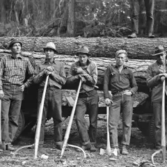 Cinco leñadores posan con sus herramientas junto a un tronco, capturados por Dorothea Lange.