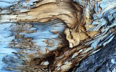 Textura fotografía de madera desgastada por el tiempo, con vetas azules y marrones que crean un patrón orgánico y rugoso.