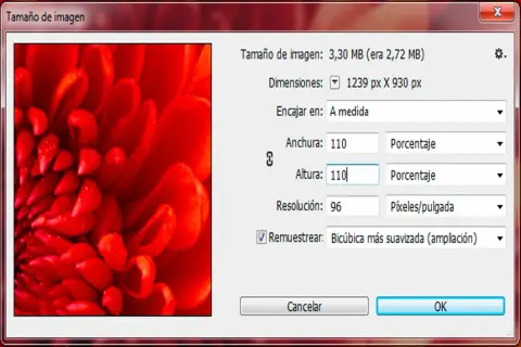 Ventana de Photoshop para ampliar imagen. Se muestra un primer plano de un pétalo rojo y las opciones para ajustar el tamaño, como la altura y anchura en porcentaje.