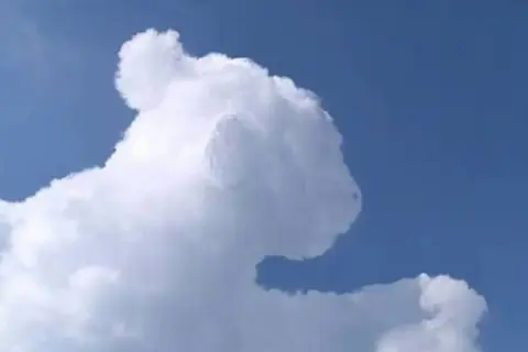 Una nube con forma de oso, un ejemplo de pareidolia en las nubes, flota en un cielo azul claro.