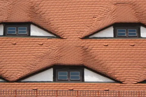 Tejas rojas forman un rostro sonriente, un ejemplo de pareidolia.