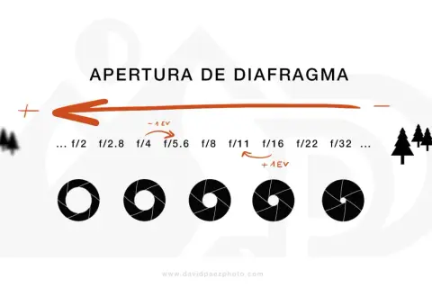 Ilustración sobre la apertura del diafragma de una cámara, mostrando cómo cambia la abertura y la profundidad de campo con diferentes números f.