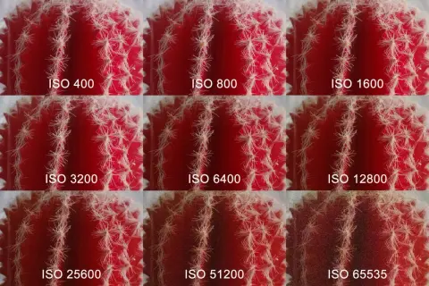 Nueve imágenes de un cactus rojo, mostrando cómo el ruido aumenta con cada incremento de ISO, ilustrando qué es el ISO en fotografía.