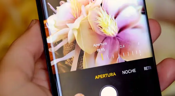 Persona ajustando la apertura en la pantalla de un móvil para hacer fotos con el móvil a un ramo de flores.