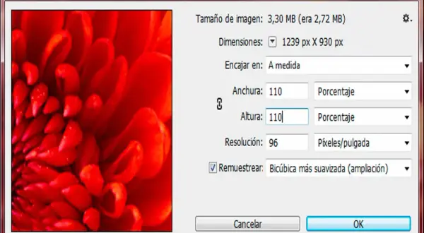 Ventana de Photoshop para ampliar imagen. Se muestra un primer plano de un pétalo rojo y las opciones para ajustar el tamaño, como la altura y anchura en porcentaje.