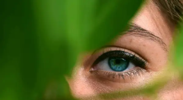 Plano detalle fotografía de un ojo azul brillante, parcialmente oculto por hojas verdes.