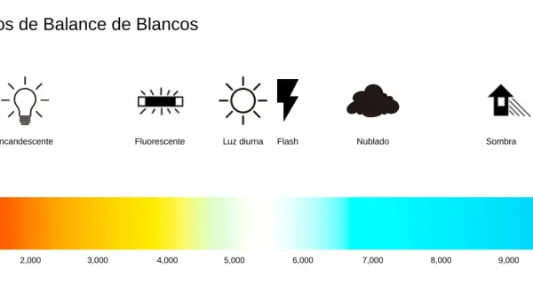 Iconos de modos de balance de blancos: bombilla, fluorescente, sol, flash, nube, casa en sombra. Barra de color de temperatura de luz.