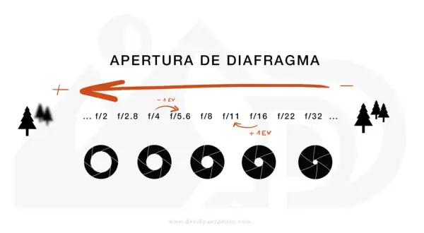 Ilustración sobre la apertura del diafragma de una cámara, mostrando cómo cambia la abertura y la profundidad de campo con diferentes números f.