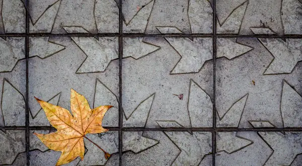 Hoja dorada sobre baldosas grises con un diseño que evoca un acento otoñal.