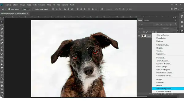Perro con pelaje oscuro y ojos intensos en un paisaje nevado, con el menú de Photoshop abierto mostrando "Mapa de degradado" para un efecto duotono.