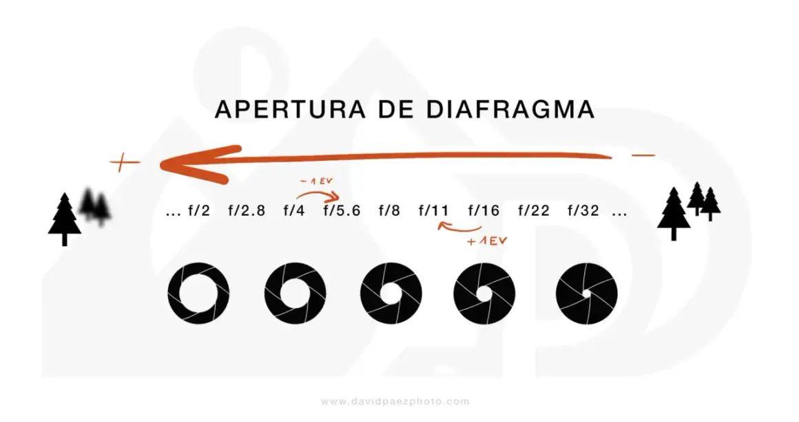 Ilustración sobre la apertura del diafragma de una cámara, mostrando cómo cambia la abertura y la profundidad de campo con diferentes números f.