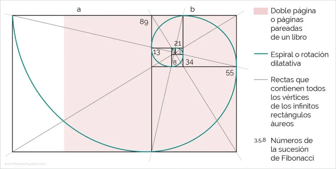 La espiral de Fibonacci, que ilustra la medida áurea, se forma con rectángulos y números de la sucesión.