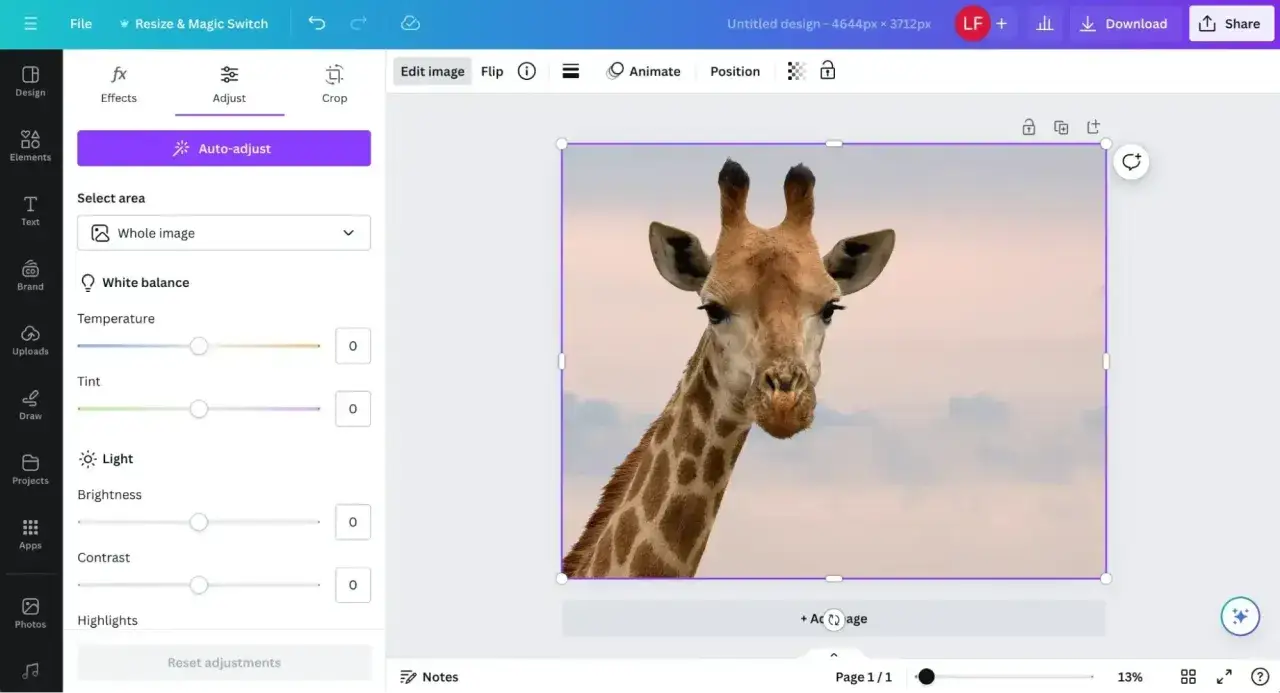 Primer plano de una jirafa en un editor de im&aacute;genes, ajustando la imagen para hacer imagen mas peque&ntilde;a.