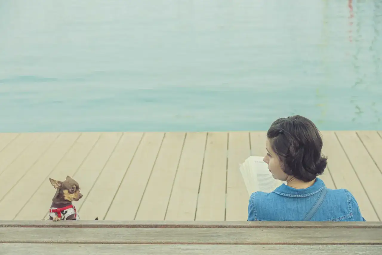 Una ni&ntilde;a lee un libro junto a un perro chihuahua, una escena digna de fotos premiadas.