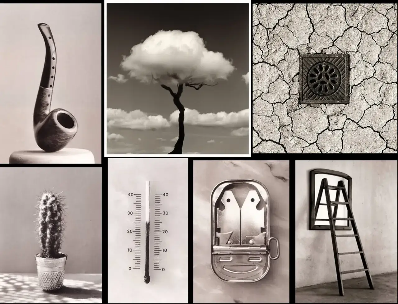 Chema Madoz fotos: pipa, &aacute;rbol con nube, tierra agrietada, cactus, cerilla y regla, lata de sardinas y escalera.