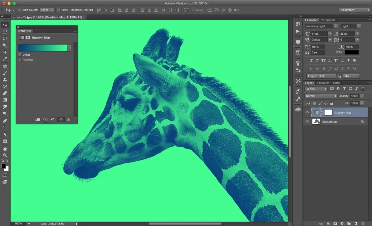 Cebra con efecto duotono en Photoshop, con tonos verdes y azules.
