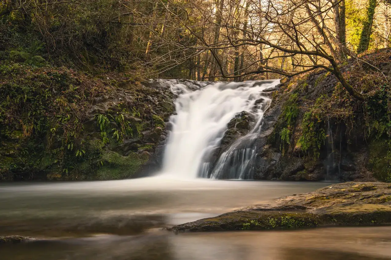 Cascada en un bosque oto&ntilde;al, el agua cae con un suave efecto seda sobre rocas cubiertas de musgo.