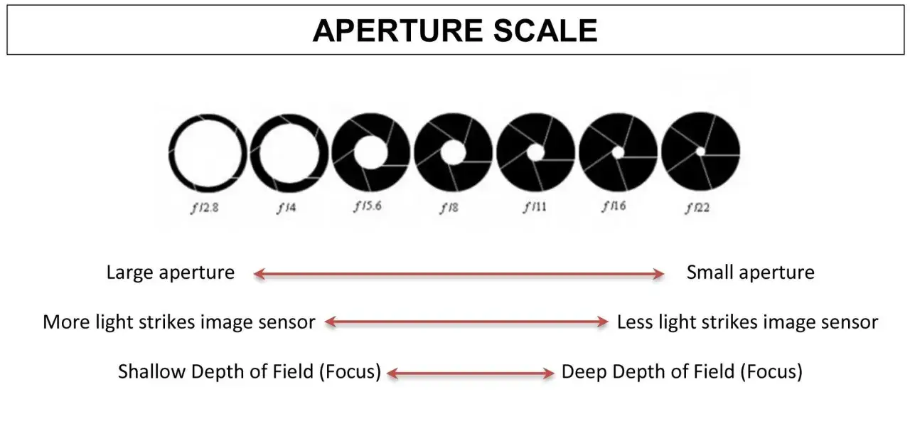 Escala de apertura: desde f/2.8 (gran apertura, m&aacute;s luz, poca profundidad de campo) hasta f/22 (peque&ntilde;a apertura, menos luz, gran profundidad de campo).