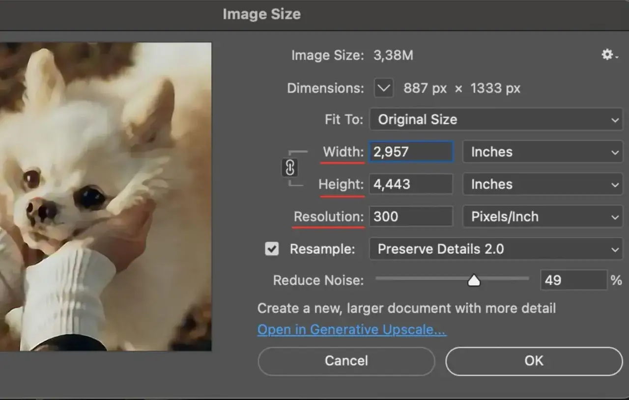 Ventana de Photoshop para ampliar imagen. Se muestra un perro blanco y los ajustes de tamaño de imagen con resolución de 300 píxeles/pulgada.