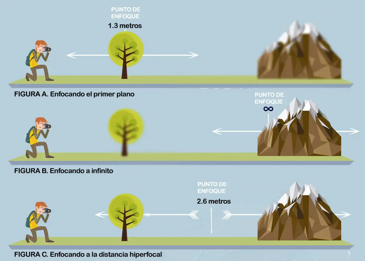 Ilustraci&oacute;n muestra un fot&oacute;grafo enfocando un &aacute;rbol a 1.3m, infinito y la distancia hiperfocal a 2.6m para maximizar la nitidez.