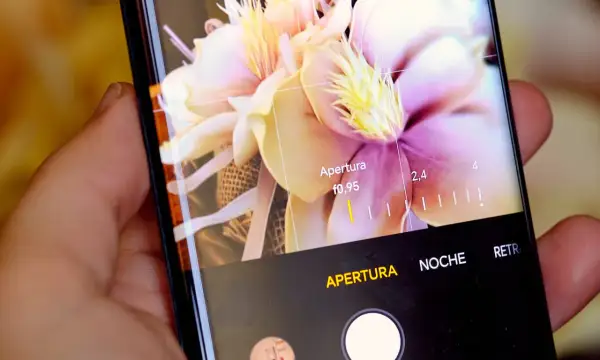 Persona ajustando la apertura en la pantalla de un móvil para hacer fotos con el móvil a un ramo de flores.