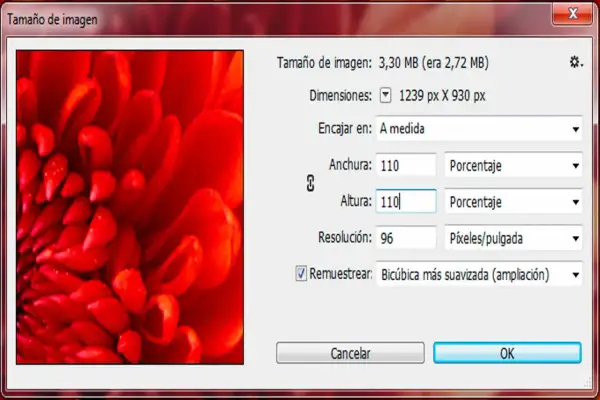Ventana de Photoshop para ampliar imagen. Se muestra un primer plano de un pétalo rojo y las opciones para ajustar el tamaño, como la altura y anchura en porcentaje.