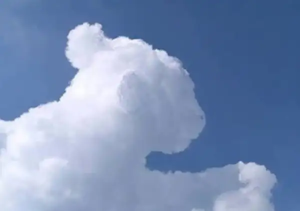 Una nube con forma de oso, un ejemplo de pareidolia en las nubes, flota en un cielo azul claro.