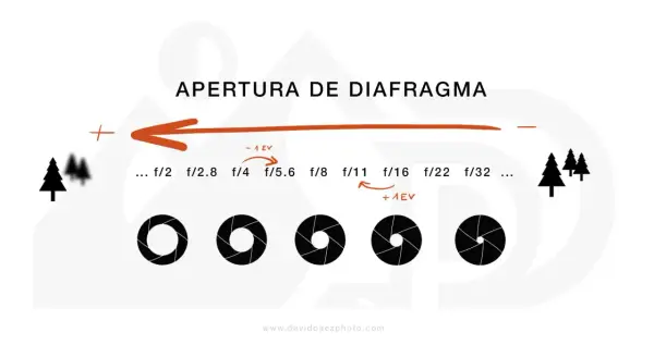 Ilustración sobre la apertura del diafragma de una cámara, mostrando cómo cambia la abertura y la profundidad de campo con diferentes números f.