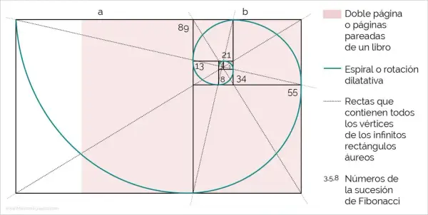 La espiral de Fibonacci, que ilustra la medida áurea, se forma con rectángulos y números de la sucesión.