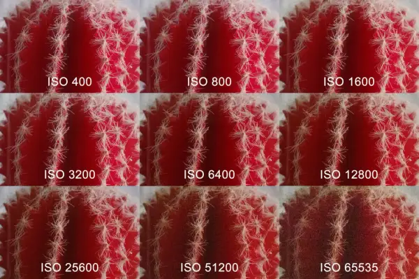 Nueve imágenes de un cactus rojo, mostrando cómo el ruido aumenta con cada incremento de ISO, ilustrando qué es el ISO en fotografía.